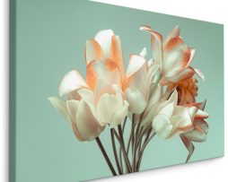 Schilderij - Boeket van bloeiende tulpen, premium print