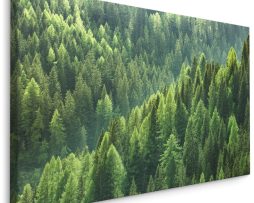 Schilderij - Groen bos, 4 maten, wanddecoratie