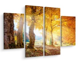 Schilderij - Zonnig herfst bos, print op canvas, 4 luik, premium print