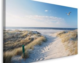 Schilderij - Pad naar Noordzee, multi-gekleurd,4 maten, premium print