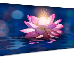 Schilderij - Betoverende Lotus, 2 maten, premium print