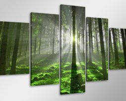 Schilderij - Zonlicht door de bomen, Bos, 100x50 cm. 5 luik, wanddecoratie - Copy