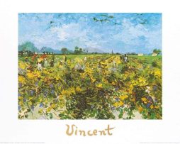 Kunstdruk Vincent Van Gogh - The Green Vineyard 70x50cm