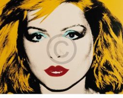 Kunstdruk Andy Warhol - Debbie Harry 1980 90x114cm