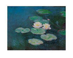 Kunstdruk Claude Monet - Seerosen 71x56cm