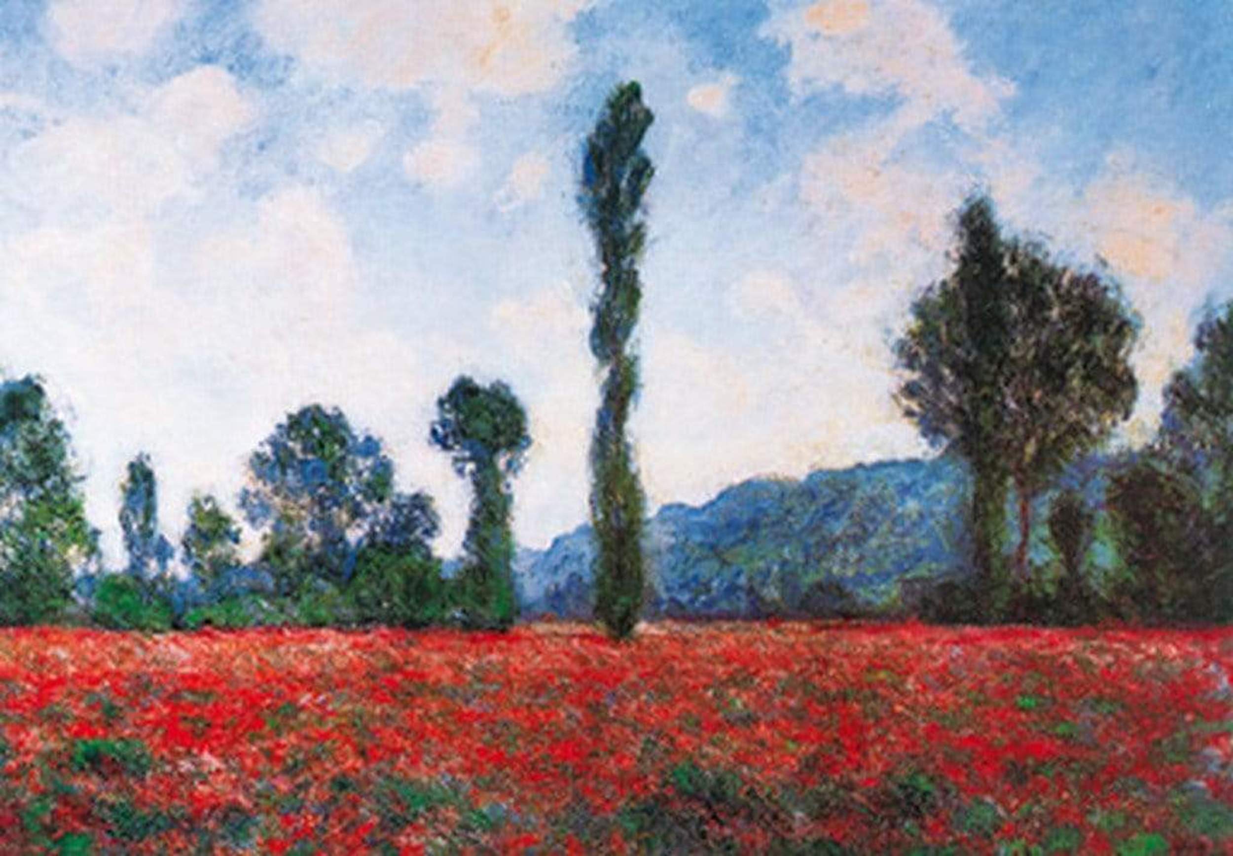 Kunstdruk Claude Monet - Campo di papaveri 100x70cm