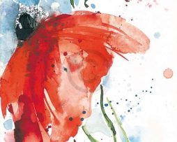 Kunstdruk Ekkehard Hofmann - Mohn II 20x99cm