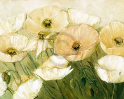 Kunstdruk Elisabeth Krobs - Tender Poppies 29.7x21cm
