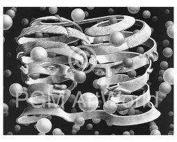Kunstdruk M. C. Escher - Band ohne Ende 65x55cm