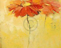 Kunstdruk Elena Filatov - Feldblumen I 40x50cm