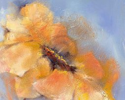 Kunstdruk Elena Filatov - Bright Anemone II 50x50cm