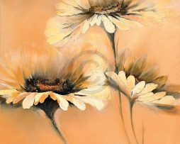 Kunstdruk Elena Filatov - Apricot Summer I 70x70cm