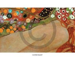 Kunstdruk Gustav Klimt - Acqua Mossa 50x20cm