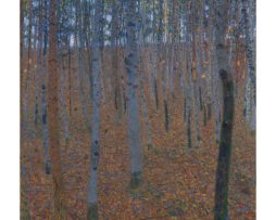 Kunstdruk Gustav Klimt - Faggeto 70x70cm