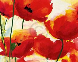 Kunstdruk Heidi Reil - Roter Mohn 70x90cm