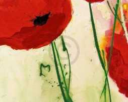 Kunstdruk Heidi Reil - Klatschmohn 50x100cm