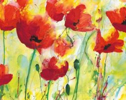 Kunstdruk Heidi Reil - Mohnfeld 100x50cm