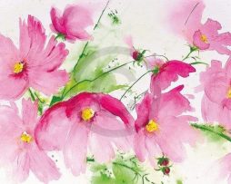 Kunstdruk Heidi Reil - Rosa Kosmeen 100x50cm