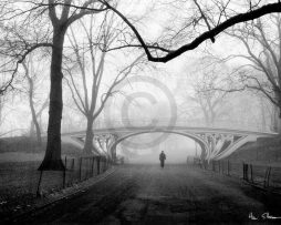 Kunstdruk Henri Silberman - Gothic Bridge, Central Park NYC 80x60cm
