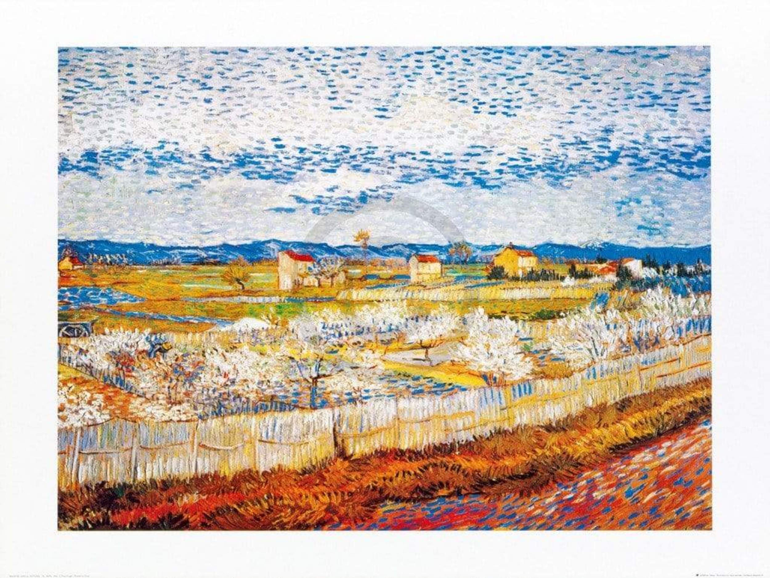 Kunstdruk Vincent Van Gogh - Pesco in fiore 80x60cm