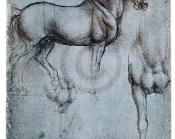 Kunstdruk Leonardo Da Vinci - Studio di cavalli 35x50cm