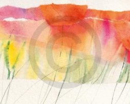 Kunstdruk Marta Peuckert - Poppy ribbon red 100x35cm