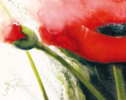 Kunstdruk Gerd Pflumm - Faszination Mohn I 80x60cm
