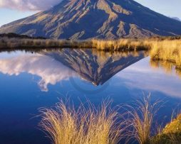Kunstdruk Popp-Hackner - Mt. Egmont 70x90cm