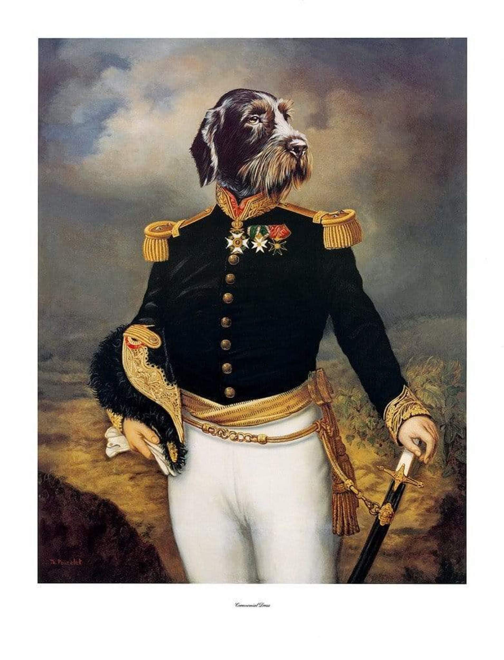 Kunstdruk Thierry Poncelet - Ceremonial Dress 66x86cm