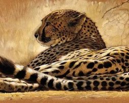 Kunstdruk Renato Casaro - Little rest 99x34cm