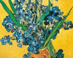 Kunstdruk Vincent Van Gogh - Les iris 60x80cm
