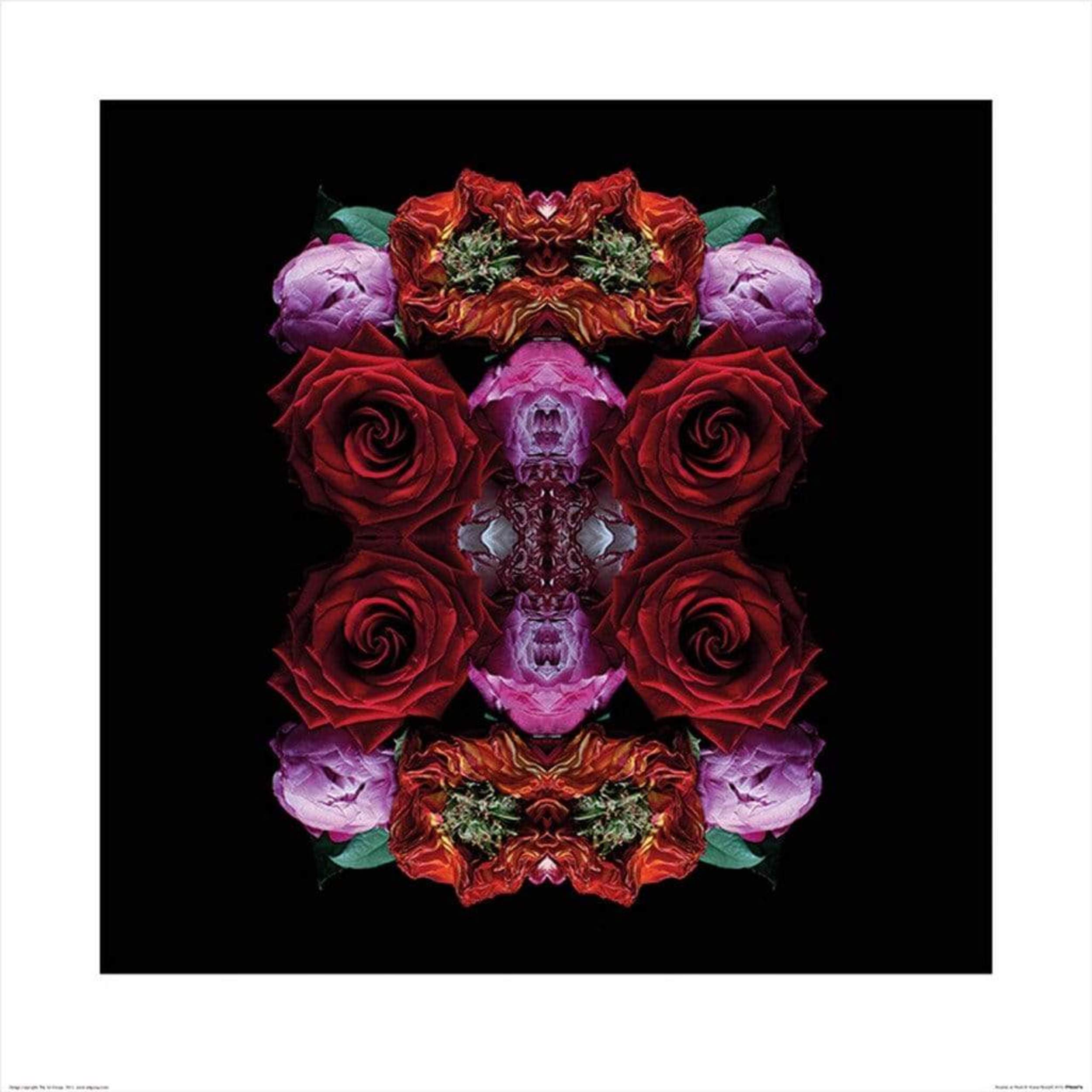 Kunstdruk Alyson Fennell - Paradise of Petals 60x60cm